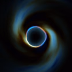 Portal #237