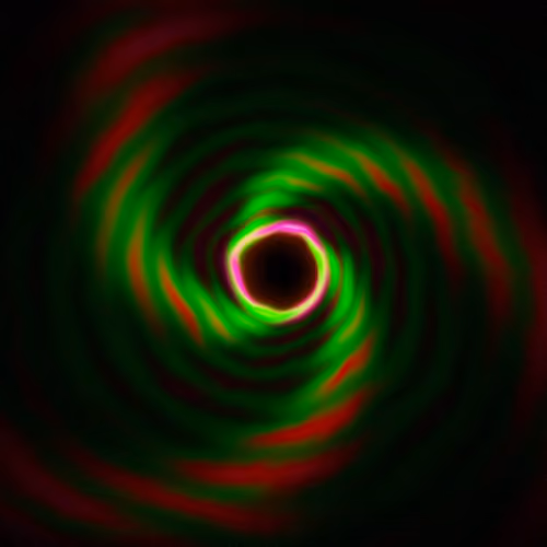 Portal #1020