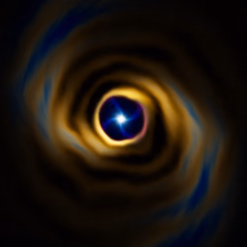 Portal #2209