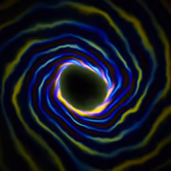 Portal #2581