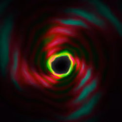 Portal #831