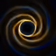 Portal #303