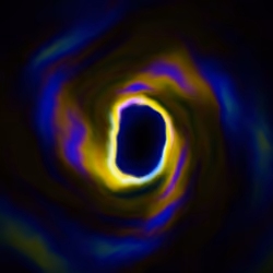 Portal #113