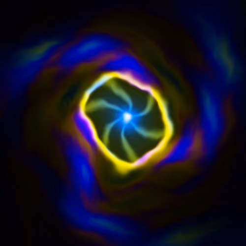 Portal #2971