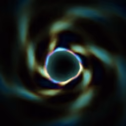 Portal #505