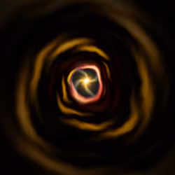 Portal #1944