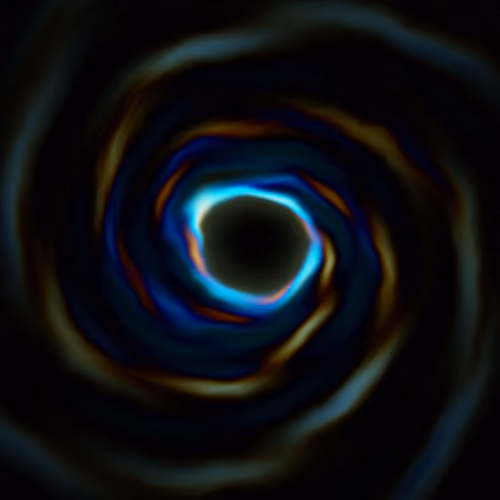 Portal #2944