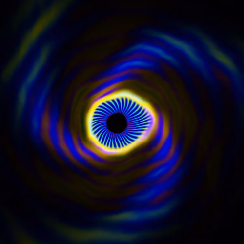 Portal #1629