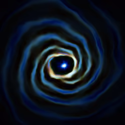 Portal #1138