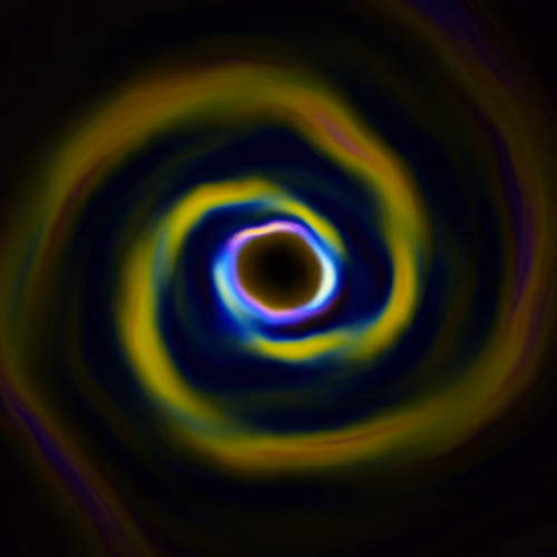 Portal #1791