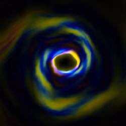 Portal #448
