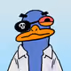 duck #102