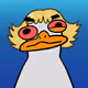 duck #41
