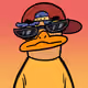 duck #208