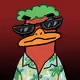 duck #500
