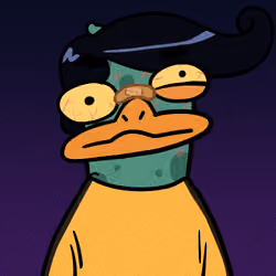 duck #25
