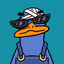 duck #315