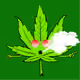 PotHeads #2881