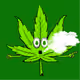 PotHeads #2879