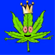 4101
