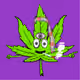 PotHeads #4117