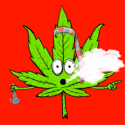 PotHeads #678