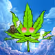 PotHeads #1324