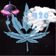4200