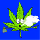 PotHeads #1262
