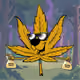 Potheads #420