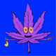 PotHeads #1258