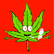 80