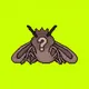 Mothz