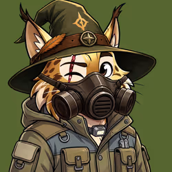243
