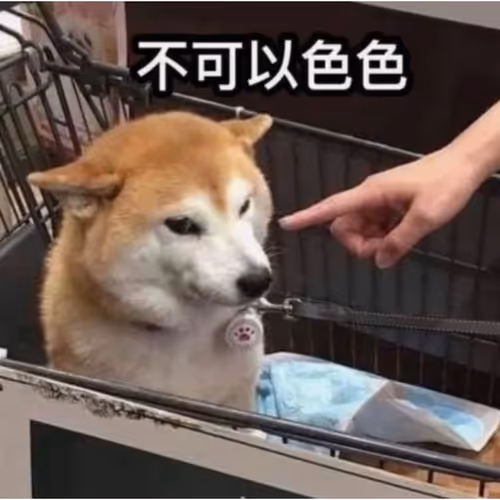 ポンさん