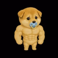 BABYSWOGE
