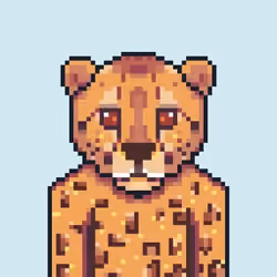 MR JAGUAR