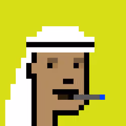 Robinhood Saudis Punks #2073