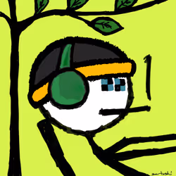 3030