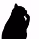 unrevealed fatcat