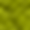 10300