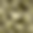 1309