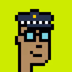 CryptoRobinhoodPunks #100