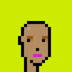CryptoRobinhoodPunks #143