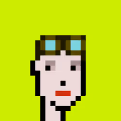 CryptoRobinhoodPunks #226
