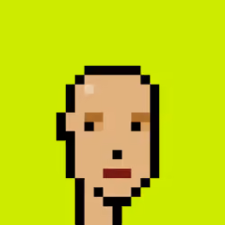 CryptoRobinhoodPunks #1433