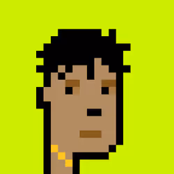 CryptoRobinhoodPunks #1224