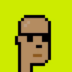 CryptoRobinhoodPunks #807