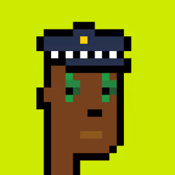 CryptoRobinhoodPunks #1018