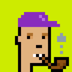 CryptoRobinhoodPunks #589